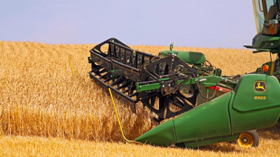 Wheat Harvest