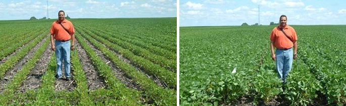 Non treated vs treated soils